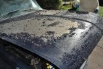 resized_20090905_2.jpg