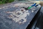 resized_20090905_5.jpg