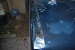 resized_20090830_2.jpg